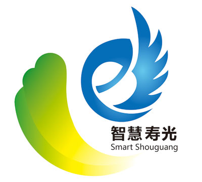 市政府采用公司創(chuàng)意“智慧壽光”LOGO