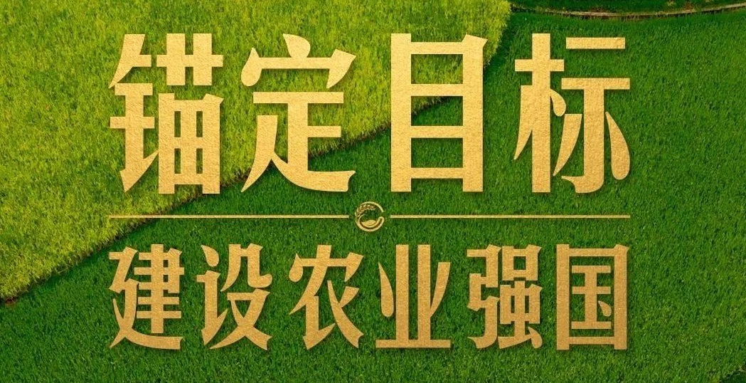 點燃現(xiàn)代農(nóng)業(yè)創(chuàng)新引擎，釋放農(nóng)業(yè)領域新質生產(chǎn)力